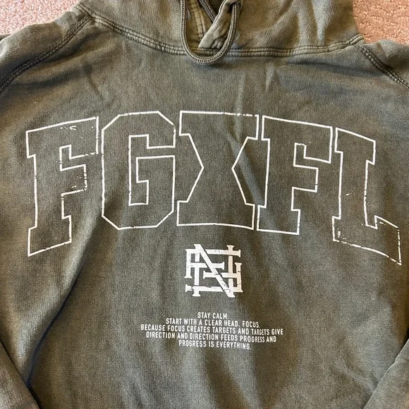 Flag nor Fail Arch Hoodie - Picture 2 of 4